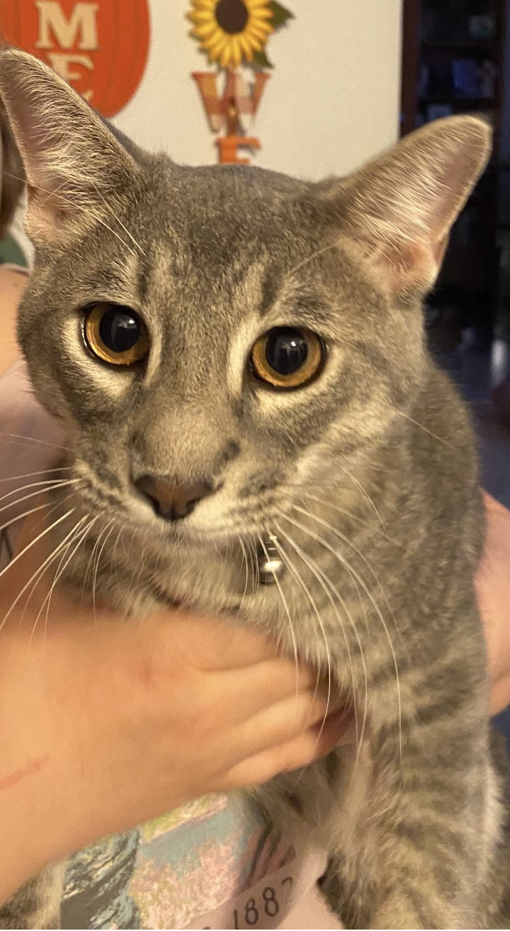 Sammy