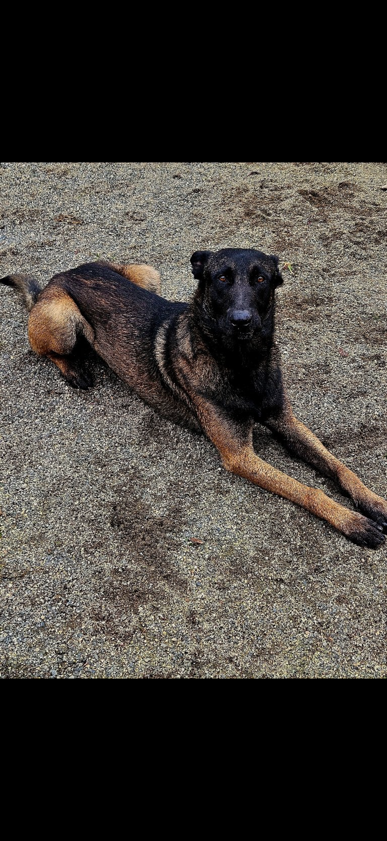 Luke