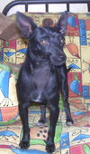 Roxy