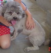 Cubby