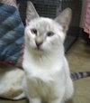 Sid