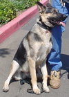 Roscoe (John's)