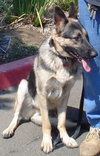 Roscoe (John's)
