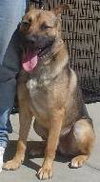 Roscoe