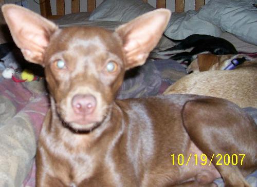 CoCo