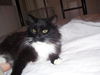 Lola