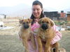 Lily, Daisy &Sam