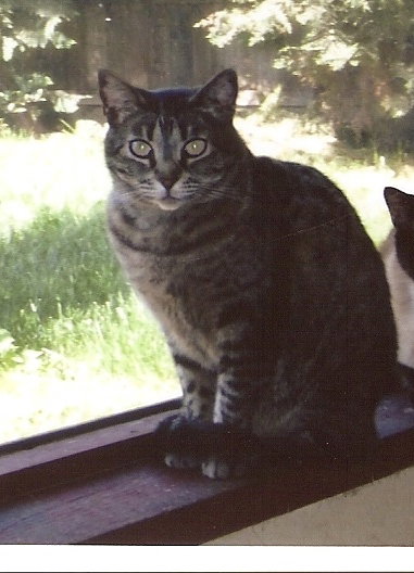 Sophie
