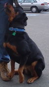 Greta