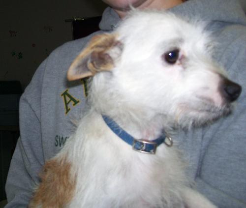 Rudy