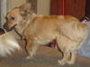 Lucy