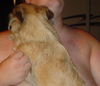 Lucy