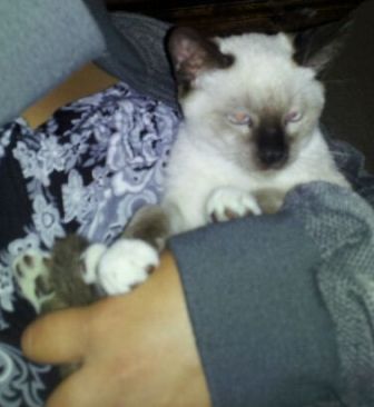 Romeo