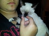Romeo