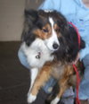 Sheena