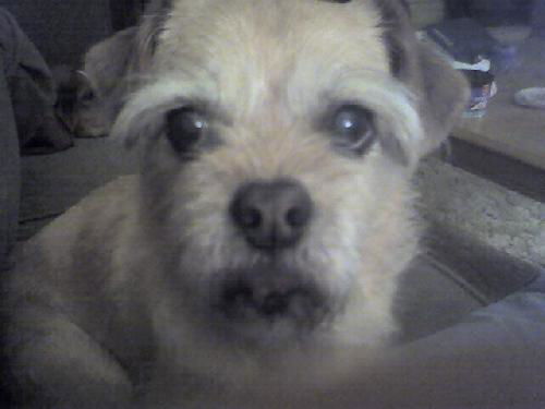 Lola