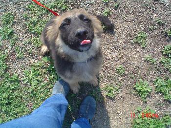 Shilo