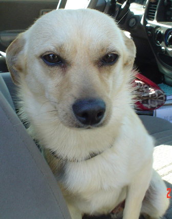 Chuck