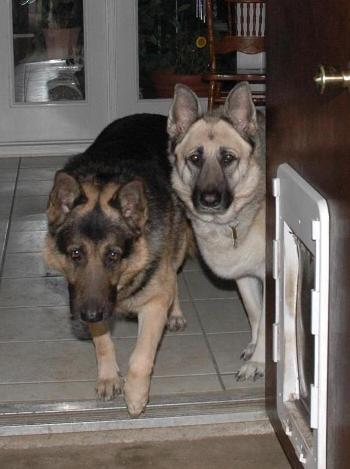Rommel and Gabby