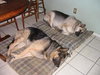 Rommel and Gabby