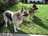 Rommel and Gabby