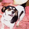 Rosie