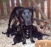 Ruthie