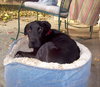 Ruthie
