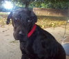 Ruthie