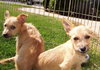 Sister & Sally