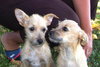 Sister & Sally