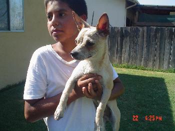 Rosco
