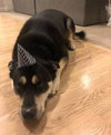 Bane - Courtesy Posting - Photo 3
