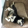 Bane - Courtesy Posting - Photo 4