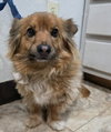 Roxy - Photo 1