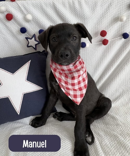 Manuel