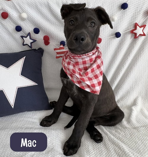 Mac