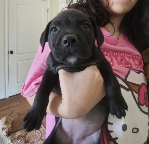 Georgia photo 2