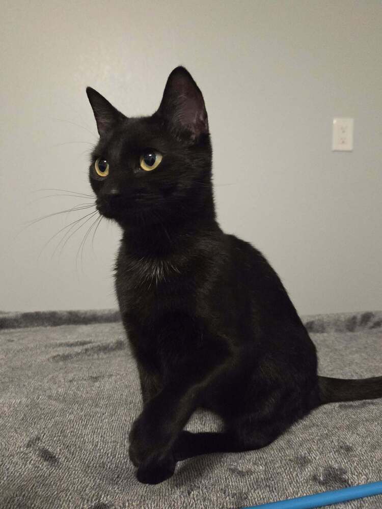 Minnie