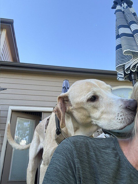 Photo 3 of Cooper
