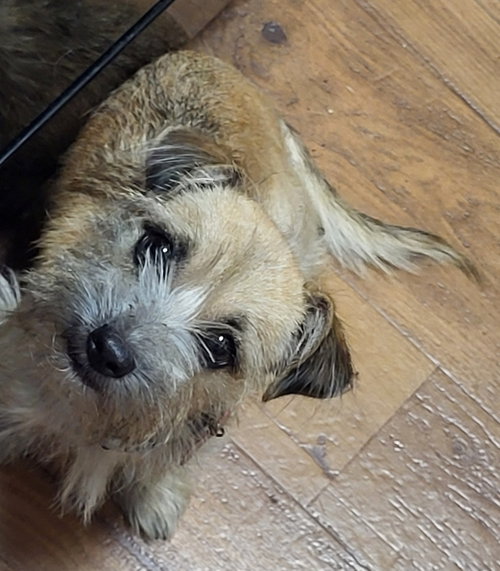 Photo 3 of Taco