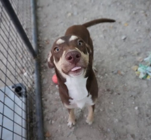 Photo 2 of Twix