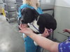 HUGO - Photo 1
