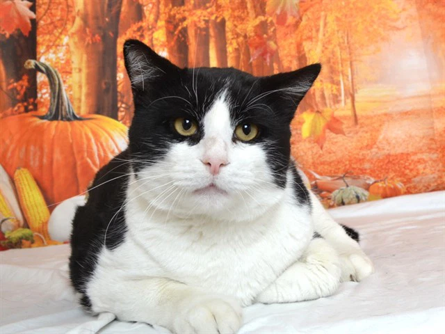 Timothy