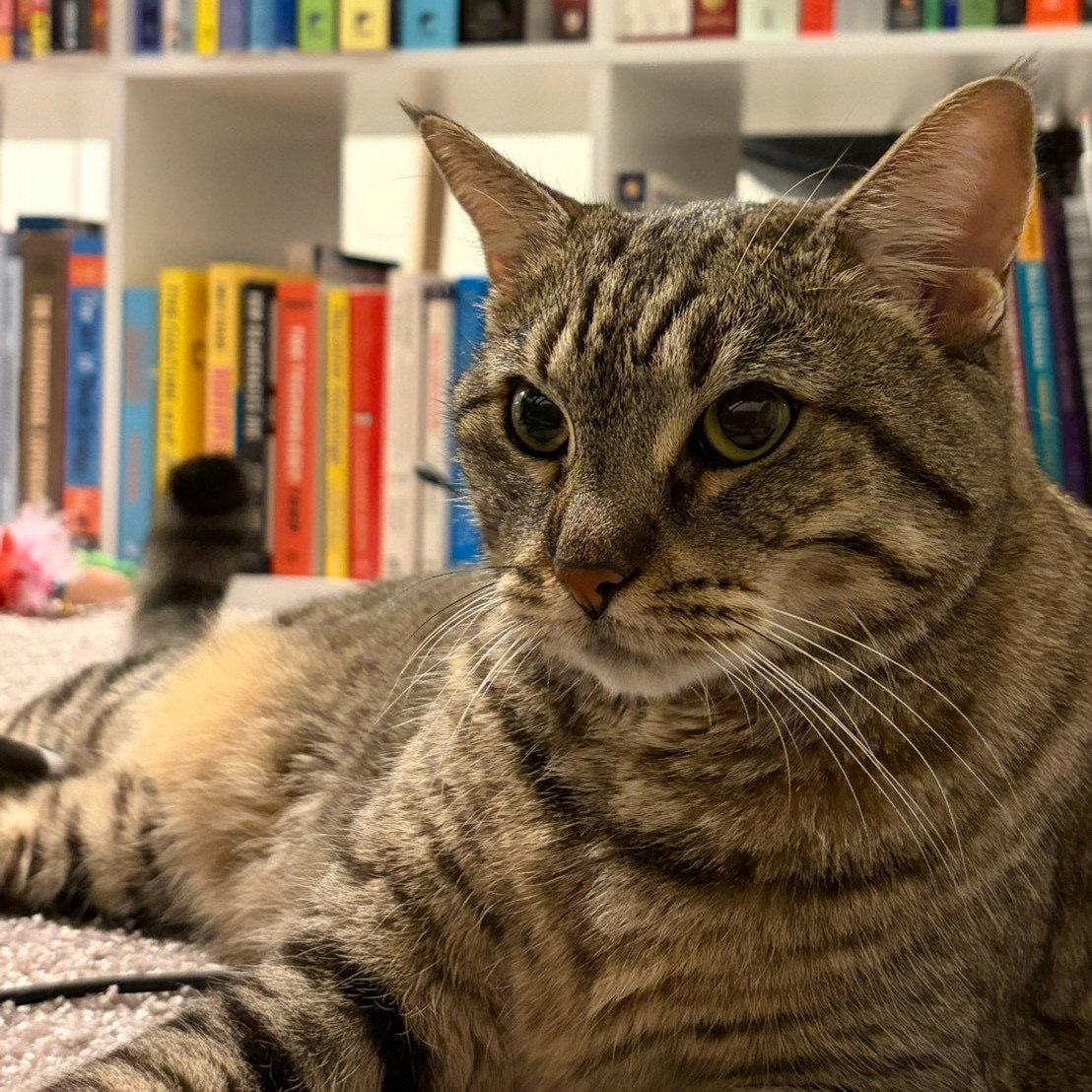 Sheila