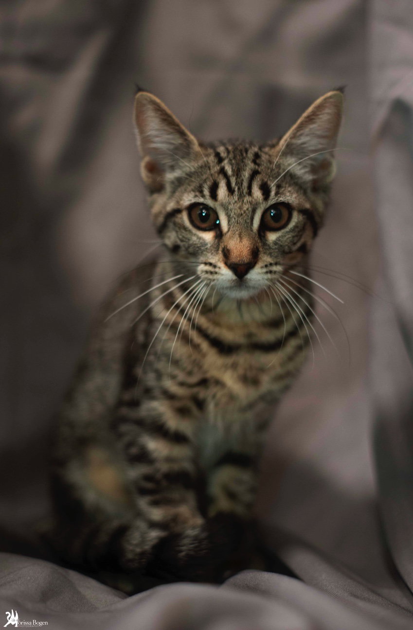 Sheila, photo 18