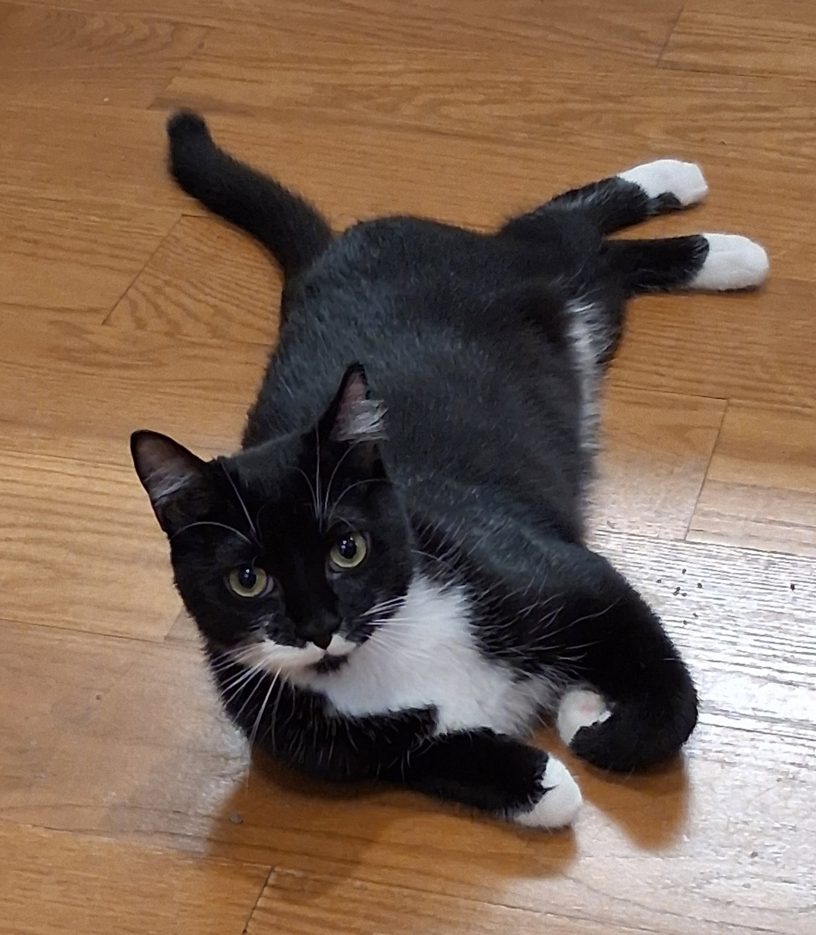 Sammie Jo