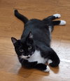 Sammie Jo - Photo 1
