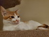 Eugene - Photo 3