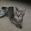 Baby - Photo 8